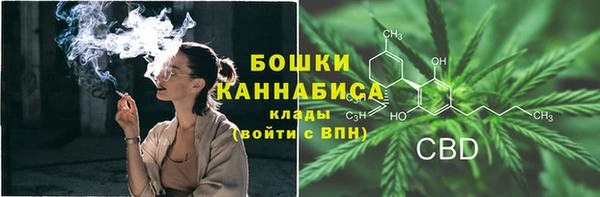 2c-b Горняк