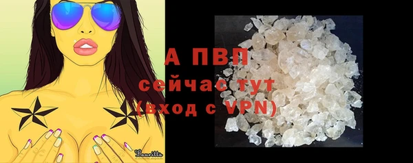 ГАЛЛЮЦИНОГЕННЫЕ ГРИБЫ Вяземский