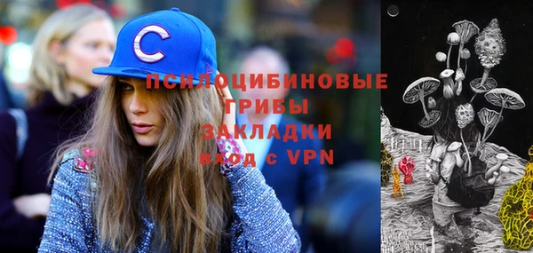 соль ск Горнозаводск