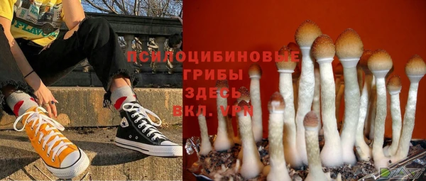 соль ск Горнозаводск