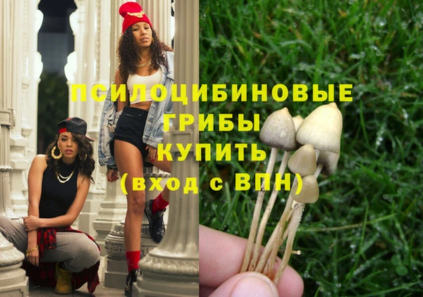 2c-b Горняк